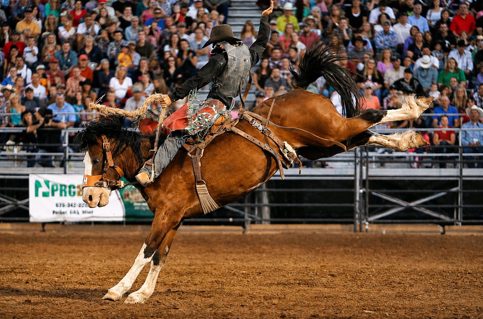 Bronc rider at the Mountain Valley Stampede Rodeo
